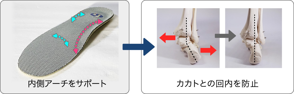 内側アーチをサポート→カカトとの回内を防止
