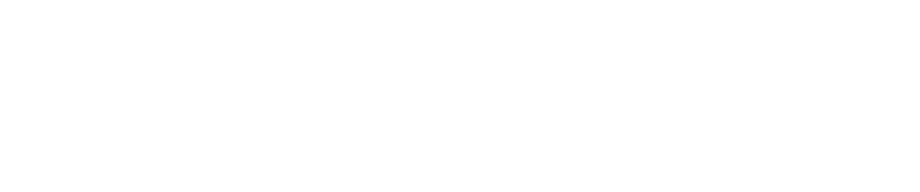 扁平サポート